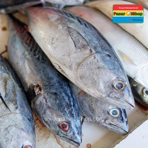 ikan tongkol segar agro buah pasarolshop 1- Pesan Di Antar | Buah Sayur Lauk Sembako