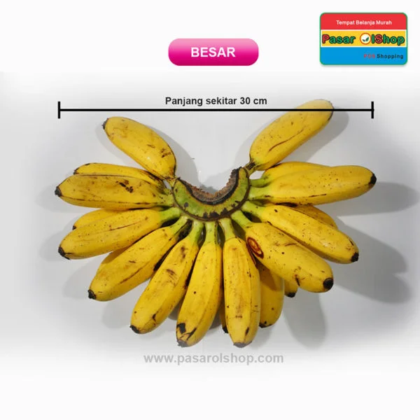 pisang mas kirana ukuran BESAR agro buah pasarolshop 2- Pesan Di Antar | Buah Sayur Lauk Sembako