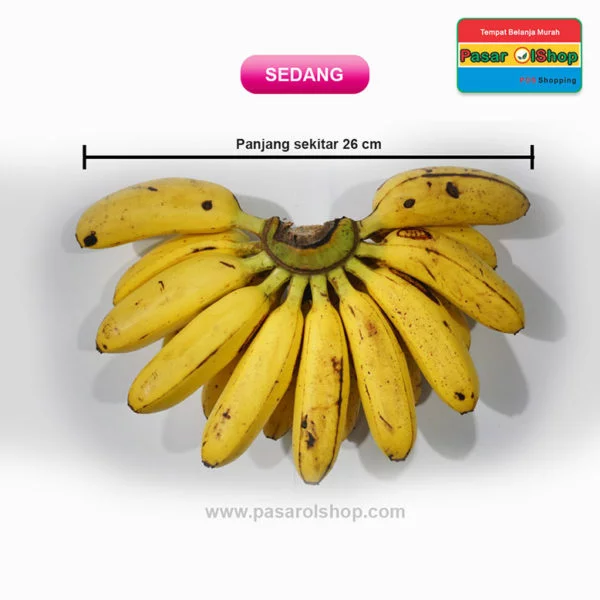 pisang mas kirana ukuran SEDANG agro buah pasarolshop 2- Pesan Di Antar | Buah Sayur Lauk Sembako