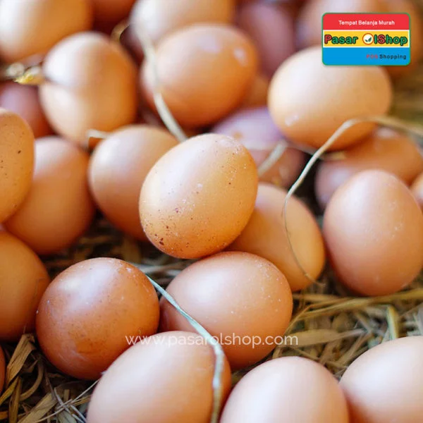 telur ayam negeri agro buah pasarolshop 1 1- Pesan Di Antar | Buah Sayur Lauk Sembako