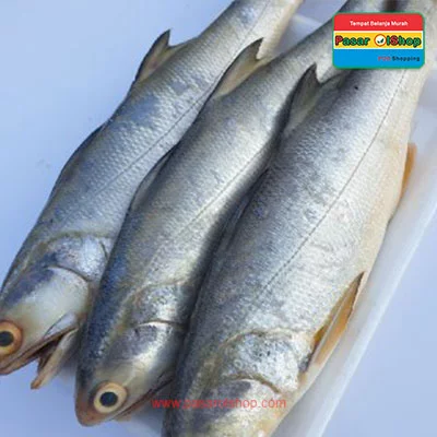 ikan senangin 1kg agro buah pasarolshop- Pesan Di Antar | Buah Sayur Lauk Sembako